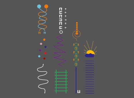 DecoMark™ Activity Track 10601 x 7097 mm, VPE= 1